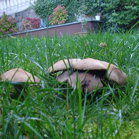 Jardin San Pelayo Appartement Niembro Buitenkant foto